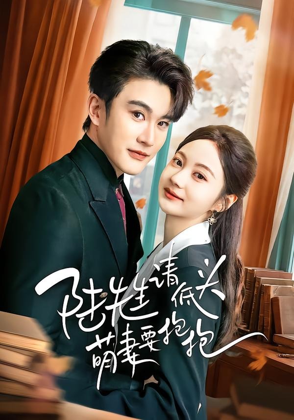 陆先生请低头萌妻要抱抱